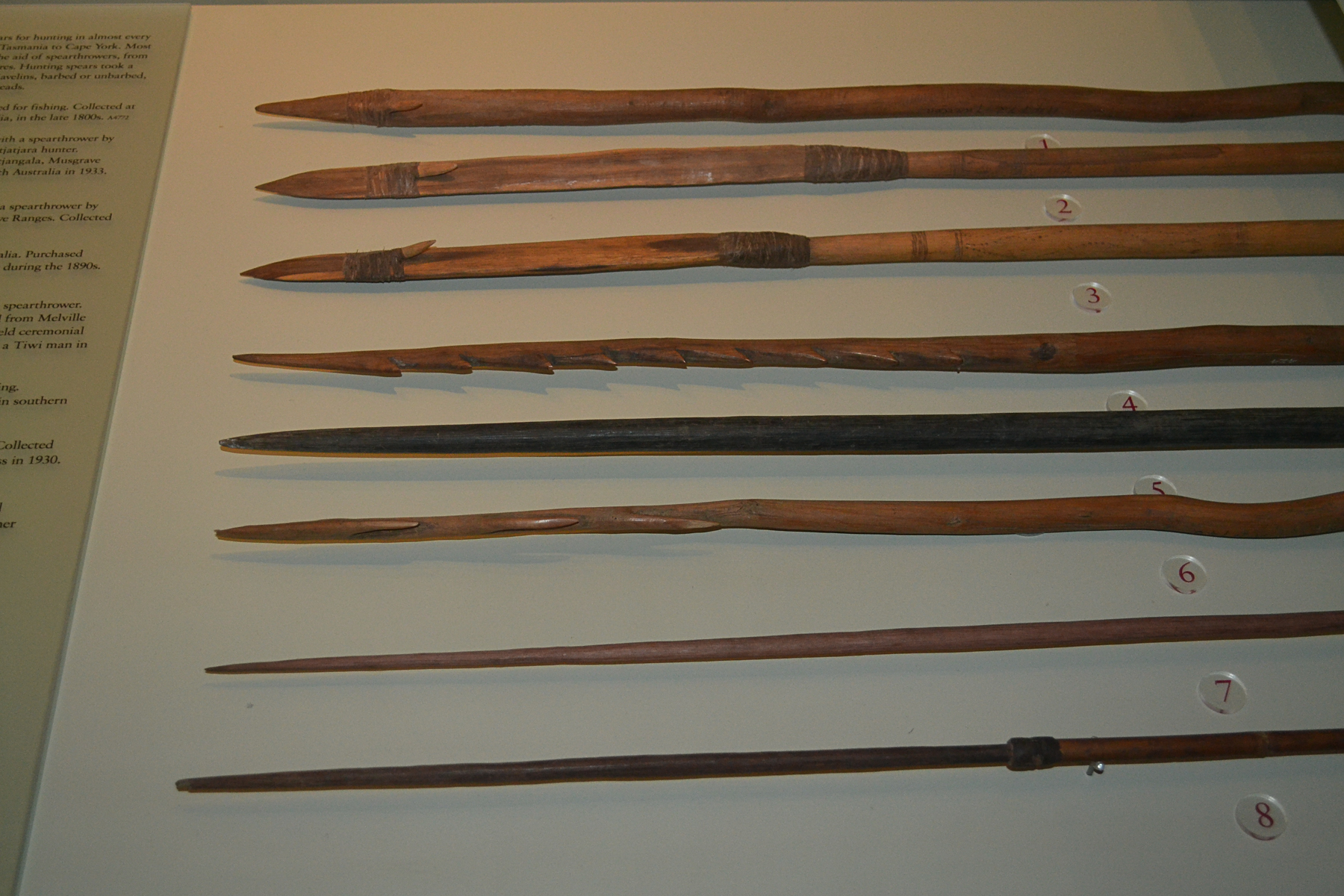 Tiwi spears.jpg